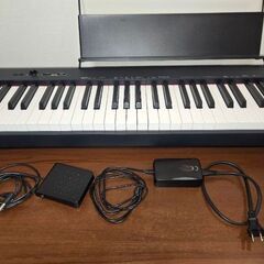 CDP-S110-BKの画像