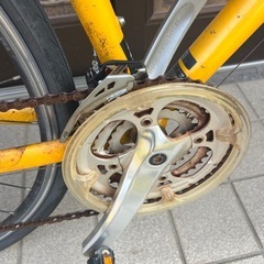 GIANT クロスバイク（2022年製）の画像