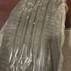 アストロマックス 王道ディシュ 15㌅5jの画像