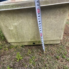 大きめのプランターの画像