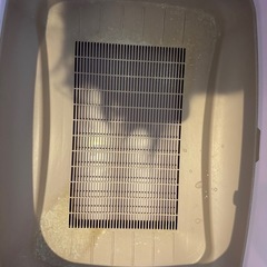 猫　システムトイレの画像