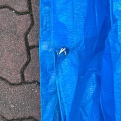 ブルーシート10mの画像