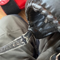 ヘッドギアとグローブ
の画像