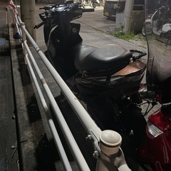 シグナス3型se44jの画像