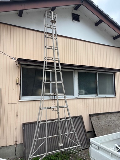 ハシゴ