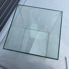 縦長水槽の画像