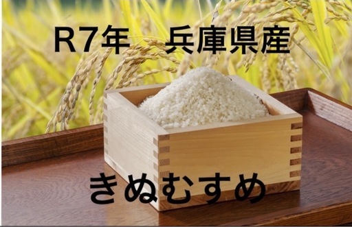 令和7年産　きぬむすめ　玄米　30kg