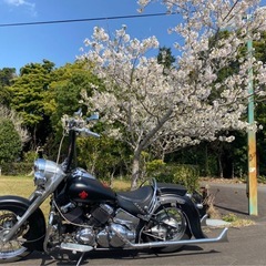 ドラッグスター400 クラッシック チョロスタイル カスタム多数 前輪21インチの画像