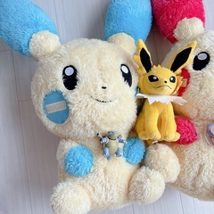 ポケモンセットの画像