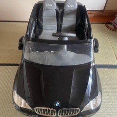 こいつ動くぞ‼️車　電動カー　マキタバッテリー　乗用の画像