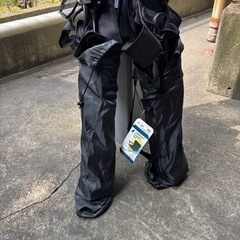 キャンプ　椅子二脚の画像