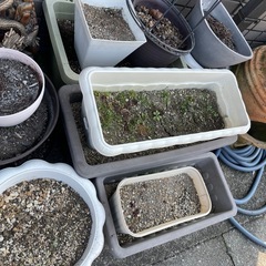 プランター　全部まとめての画像