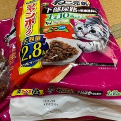 ねこ元気　キャットフード　ドライの画像