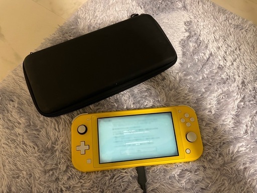 取引中　Switchライト➕ケース➕充電ケーブル