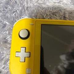 取引中　Switchライト➕ケース➕充電ケーブルの画像