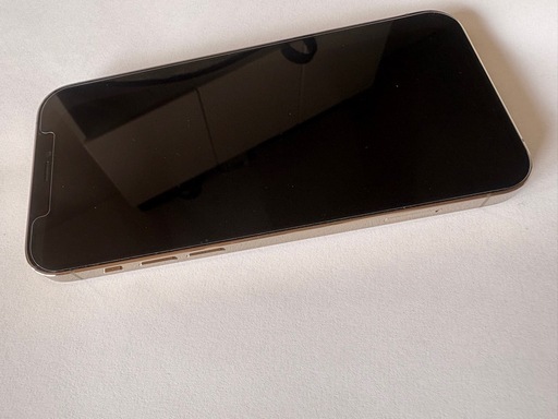 iPhone12Pro