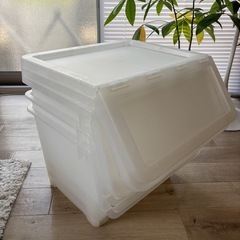 カインズ  キャリコ 衣装ケース Mサイズ【3個セット】の画像