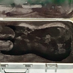 Fender ストラトキャスター・テレキャスター用ハードケースの画像