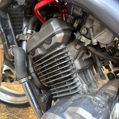 バリオス1型キーパーコーティング済み「ジャンク品」の画像