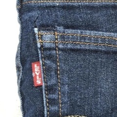 Levi's ストレートデニム 519 W32 L32 濃紺　ビックEの画像