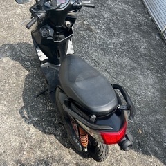 人気シグナスの画像