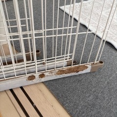 アイリスオーヤマ　ゲージの画像