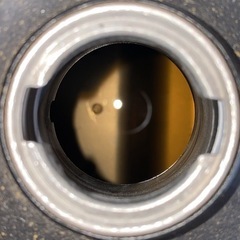 ヤマハギアの画像