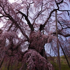 カメラ持ってお散歩📷