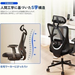 オフィスチェア デスクチェアFLEXISPOTの画像