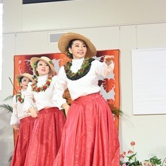 フラダンス🌈圦中駅近‼️ スキルアップしたいダンサー✨ジモティのみ特典開催💖の画像