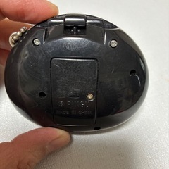 短期掲載　Pingu & Pinga ちいさなともだち　ピングー　コミュニケーションゲームの画像