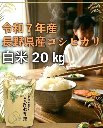 【送料無料】R 7年 長野県産コシヒカリ 20kg白米 低農薬/農家直送
