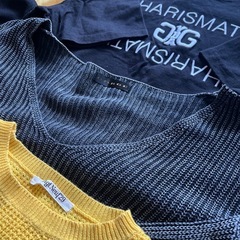 トップス１５点❣️まとめ売り　earth ／ROSEBUD／GORGE／ユニクロ／GYDA／H&M／OPAQUE．CLIP／GU／M.deuxの画像