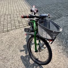 ブリジストン エクスプレスJr 20インチ 2018年モデルの画像