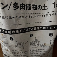 サボテン　多肉植物の土の画像