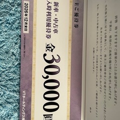 VTホールディングス株式会社の株主優待券の画像