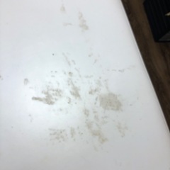 施術用ベット白　お譲りしますの画像