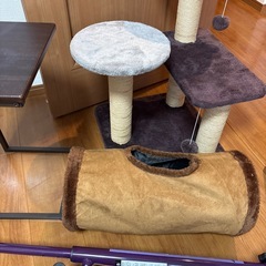 あげますの画像