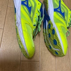ミズノスニーカー25センチの画像