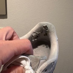 NIKE supreme コラボスニーカーの画像