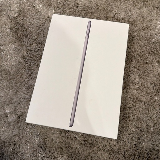 iPad 第6世代