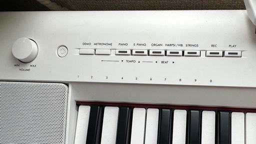 電子キーボード ホワイト NP-15WH [61鍵盤]