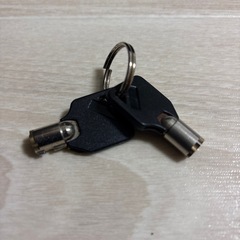 ドッペルギャンガー　キー式　ワイヤーロック　スペアキーありの画像