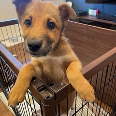 MIX♡4ヶ月の男の子♂