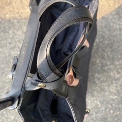 キャリーバック　スワニー　SWANYの画像