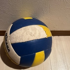 練習用バレーボール 
の画像