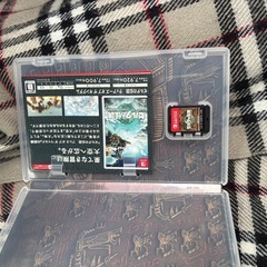 Switch   ゼルダの伝説 ブレスオブザワイルド ティアーズオブザキングダム ブレワイ ティアキン
の画像