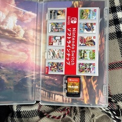 Switch   ゼルダの伝説 ブレスオブザワイルド ティアーズオブザキングダム ブレワイ ティアキン
の画像