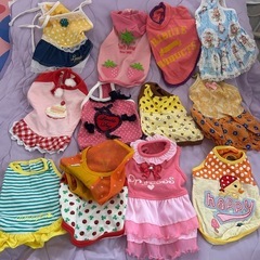 チワワ服、キャリーバック
の画像