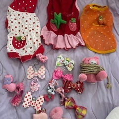 チワワ服、キャリーバック
の画像